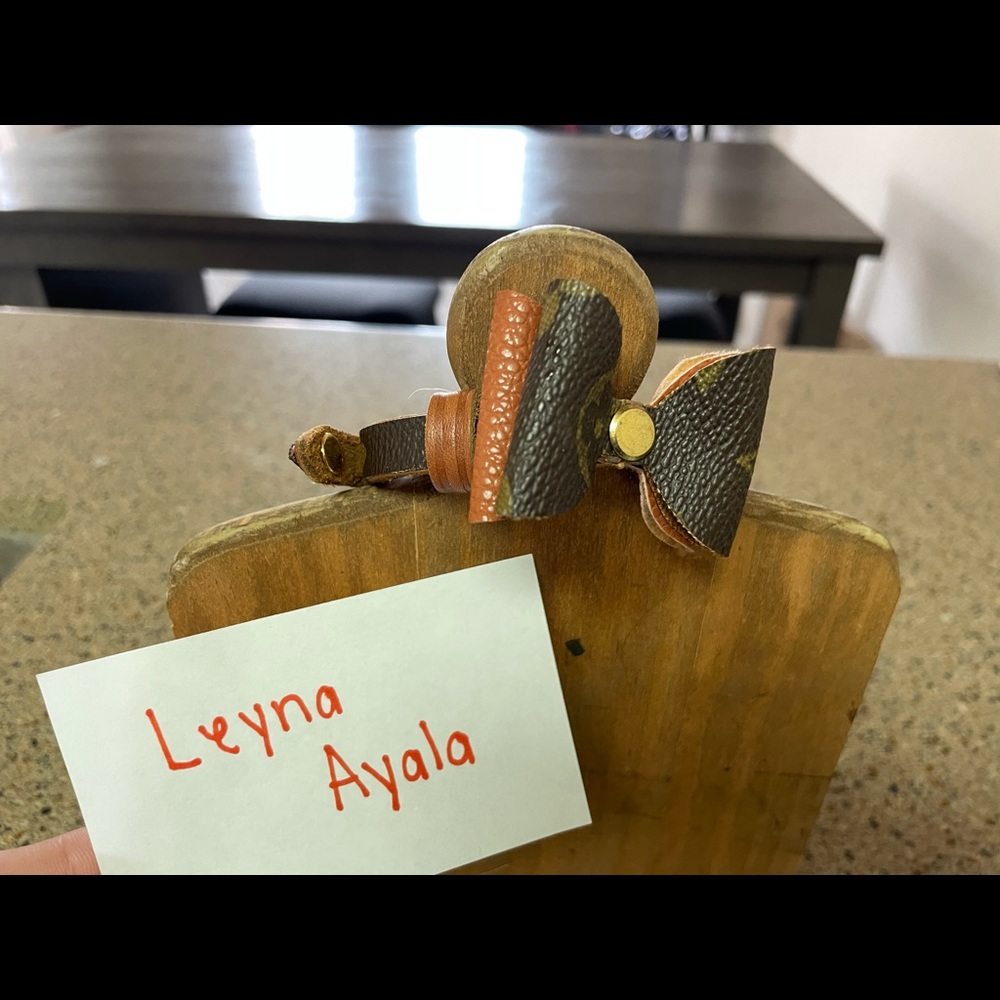 Louis Vuitton Pet Collar